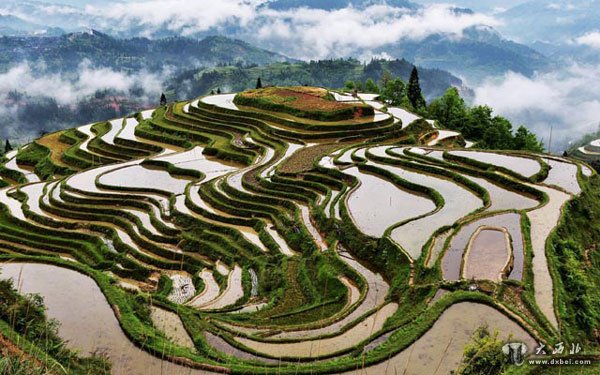 月亮山梯田（东朗田园）