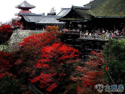 日本京都美景