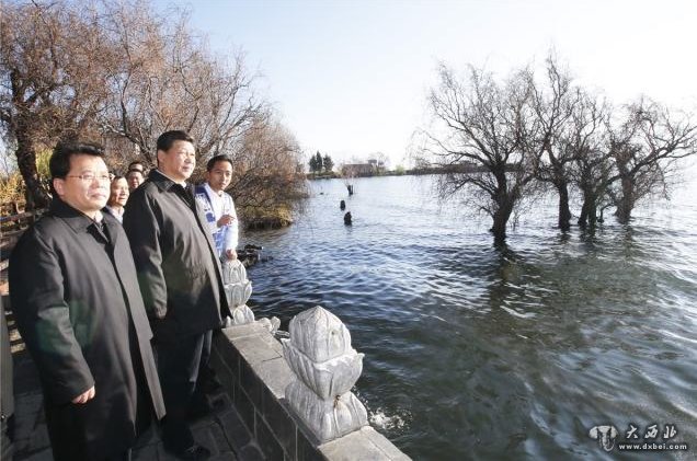 习近平来到大理白族自治州大理市湾桥镇古生村，仔细察看洱海边的生态保护湿地