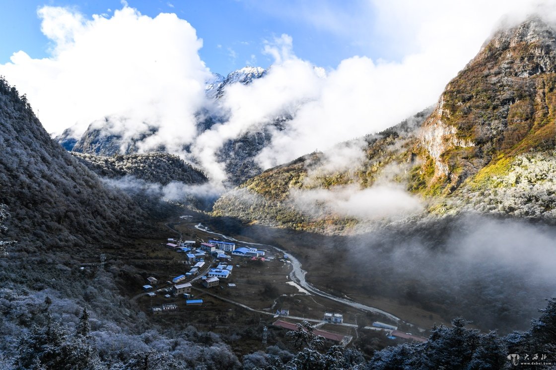 美丽玉麦 风景如画