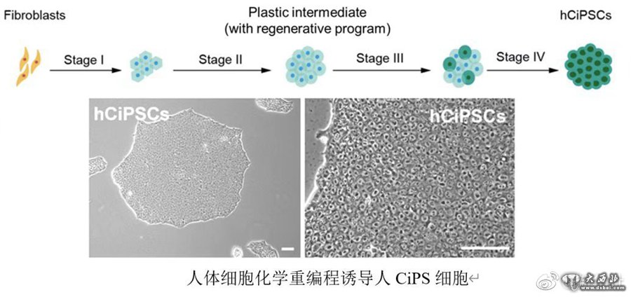 中国科学家在新一代干