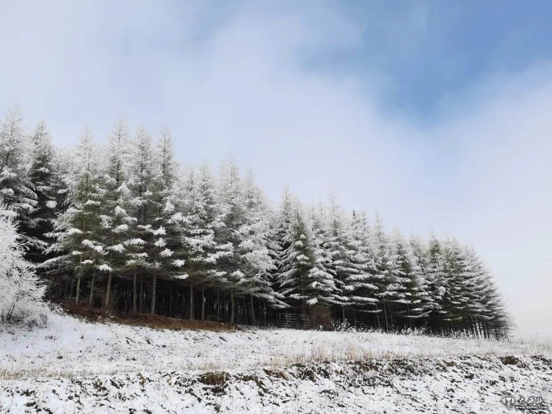 四月，邀你一起来临潭赏雪